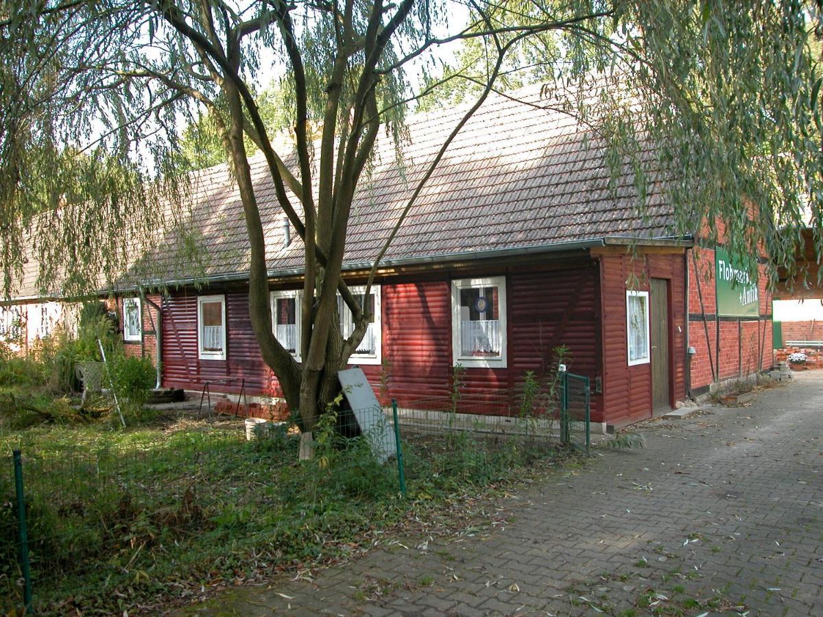 Ferienwohnung Zeitenhof Suderburg 외부 사진